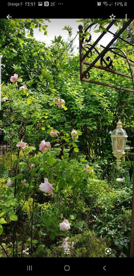 Saint-Gervais-la-Forêt Chambres D'Hotes Jardin D'Ivoire المظهر الخارجي الصورة
